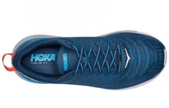 Arahi 4 ‘Majolica Blue Dresden Blue’