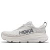 Gaviota 5 bred ‘Nimbus Cloud Steel Wool’