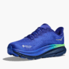 HOKA HOKA ONE ONE Elaro striktight 27″